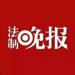 开江新闻爆料视频大全,聚焦民生热点，展现社会万象